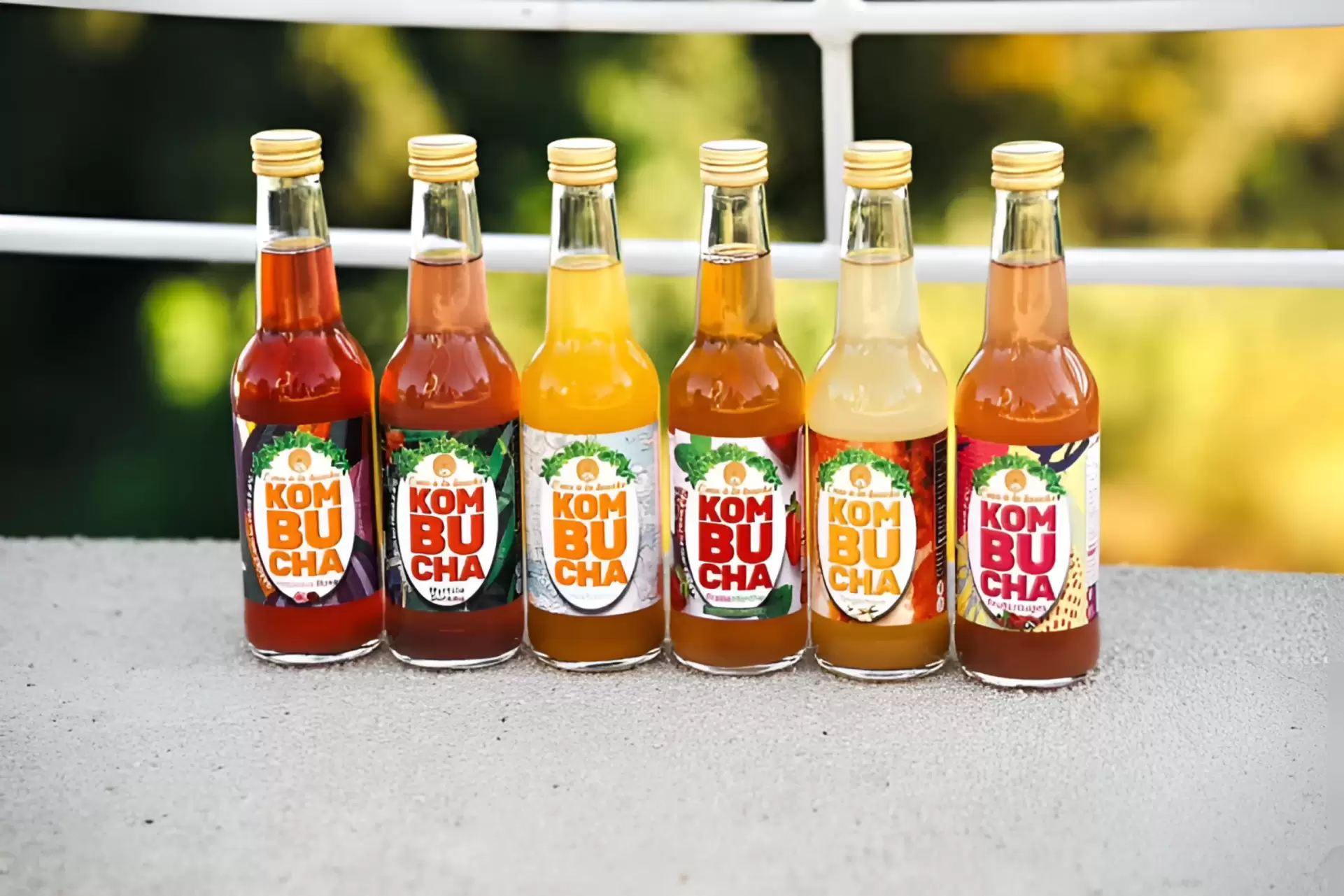 Kombucha L'eau à la bouche 6 bouteilles de kombucha L'eau à la bouche alignée