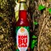 Bouteille de Kombucha myrtille sureau