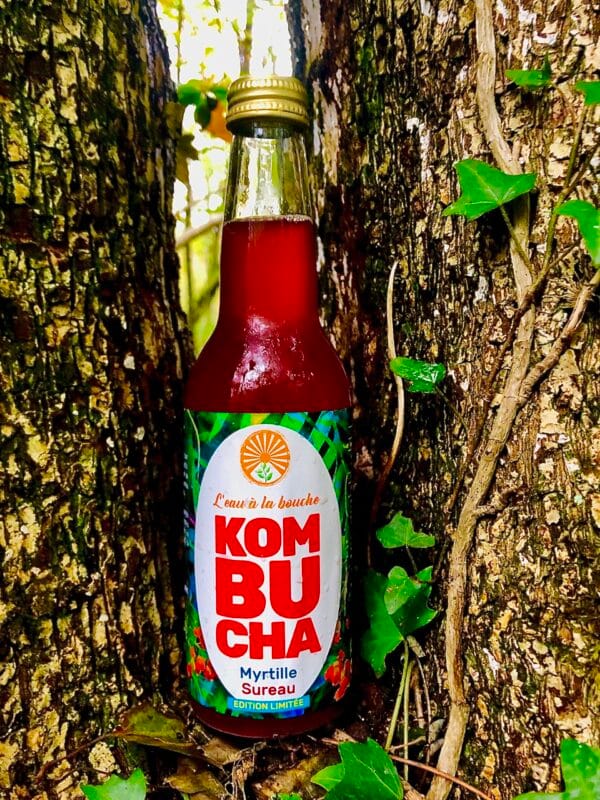 Bouteille de Kombucha myrtille sureau