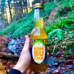 Bouteille de kombucha nature