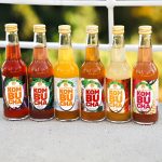 six bouteilles de kombucha bio