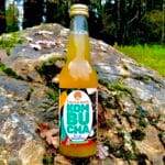 Bouteille de Kombucha roi du houblon