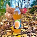 Bouteille de Kombucha nature