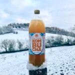 Bouteille de Kombucha revitalise
