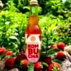 Bouteille de Kombucha fraise menthe
