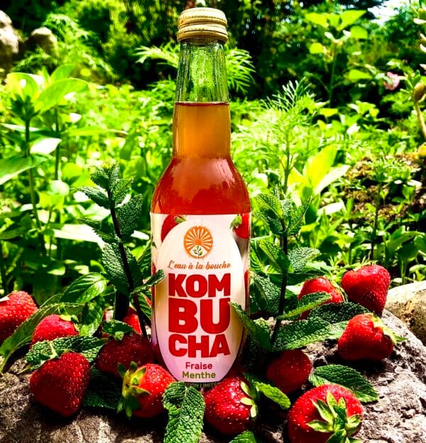 Bouteille de Kombucha fraise menthe