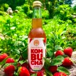 Bouteille de Kombucha fraise menthe