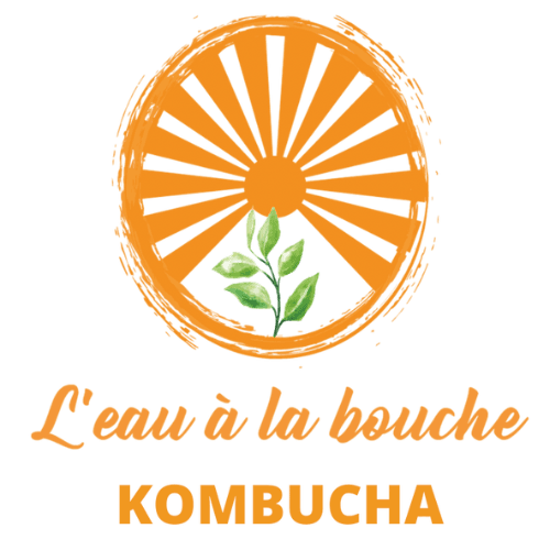 Logo Kombucha L'eau à la bouche