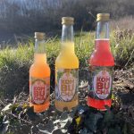 trois bouteilles de kombucha bio