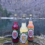 trois bouteilles de kombucha bio