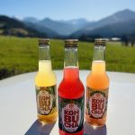 trois bouteilles de kombucha bio