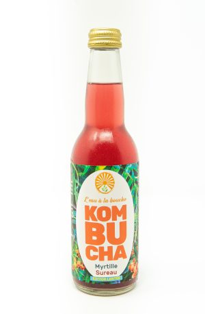 Kombucha bio myrtille sureau