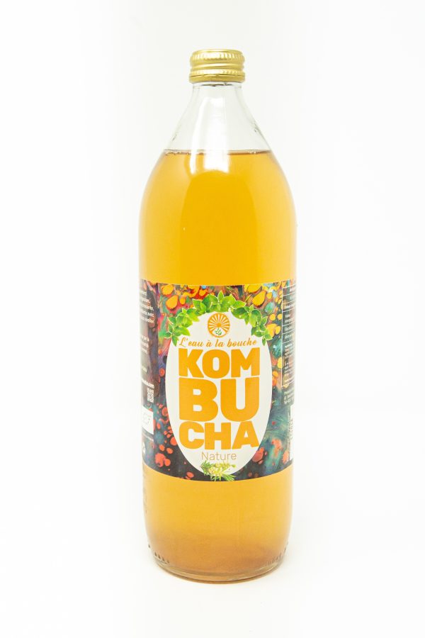 Kombucha bio nature