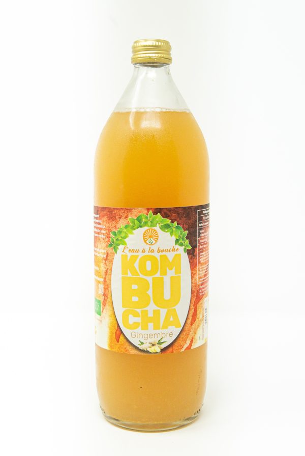 Kombucha bio gingembre