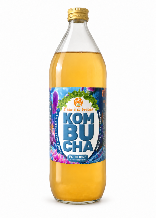 Kombucha Equilibre L’eau à la bouche, bouteille 1 L sur fond blanc
