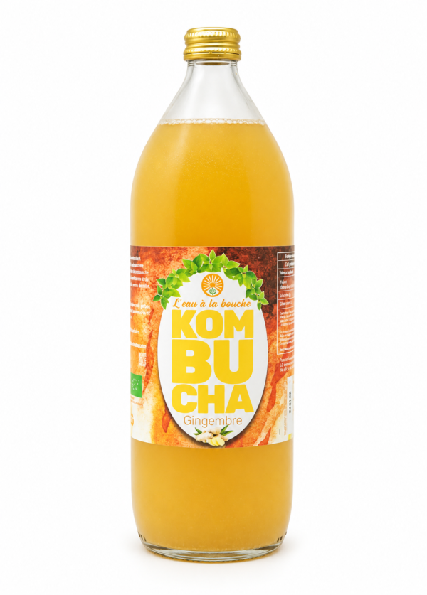 Kombucha Gingembre L’eau à la bouche, bouteille 1 L sur fond blanc