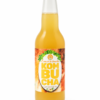 Kombucha Gingembre L’eau à la bouche, bouteille 33 cl sur fond blanc