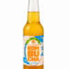 Kombucha Revitalise L’eau à la bouche, bouteille 33 cl sur fond blanc